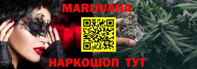 шишки Будённовск