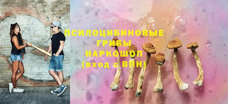 Галлюциногенные грибы Magic Shrooms  дарнет шоп  Железноводск 