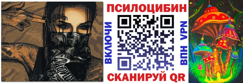 Галлюциногенные грибы Psilocybe  наркошоп  Железноводск 