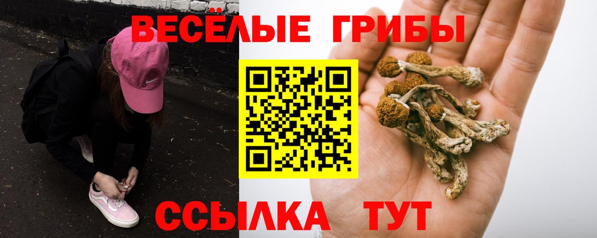 Железноводск  Псилоцибиновые грибы Psilocybe  Вход с VPN 